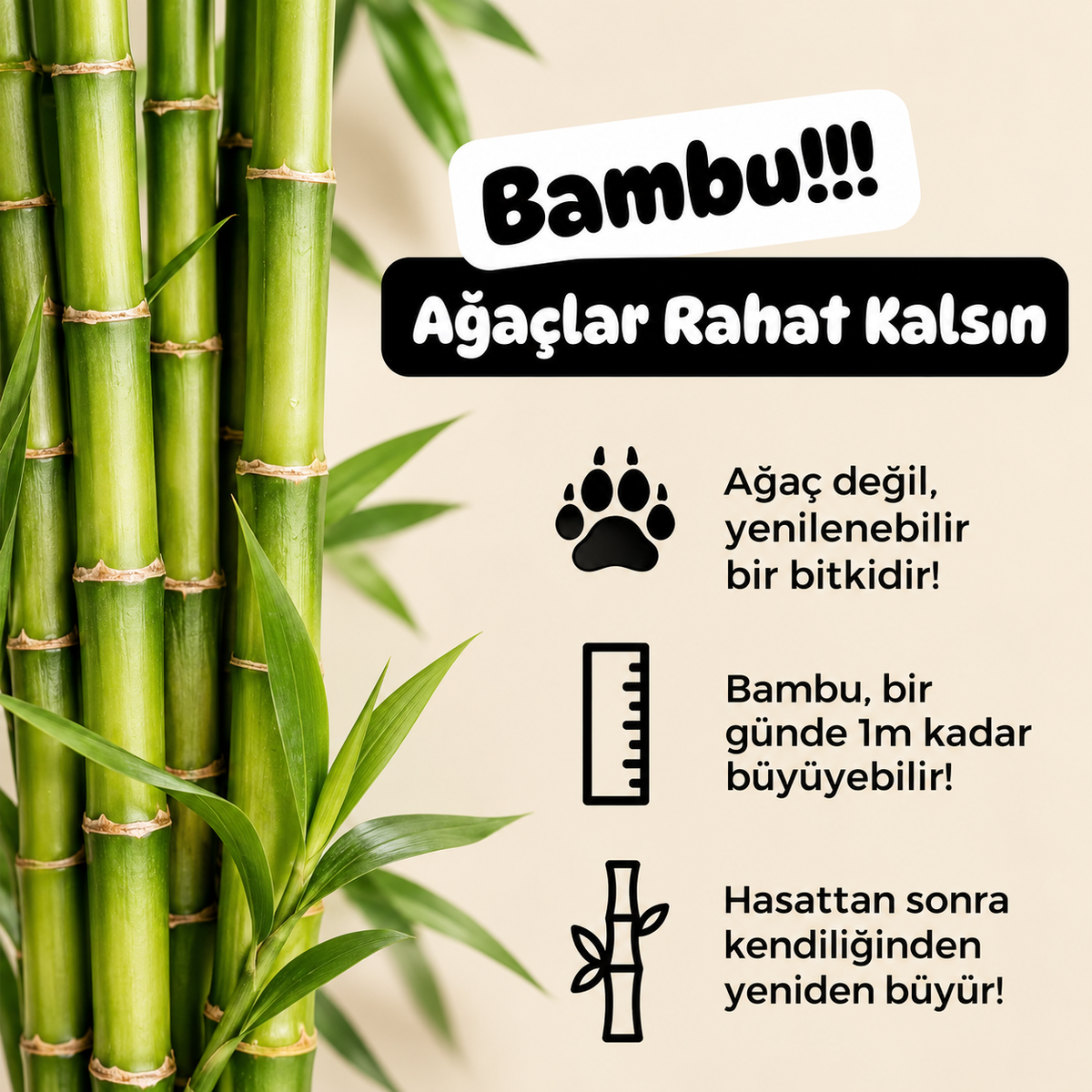 Ağartılmamış Bambu Beji "MEGA RULO" Naked '300 Yaprak'