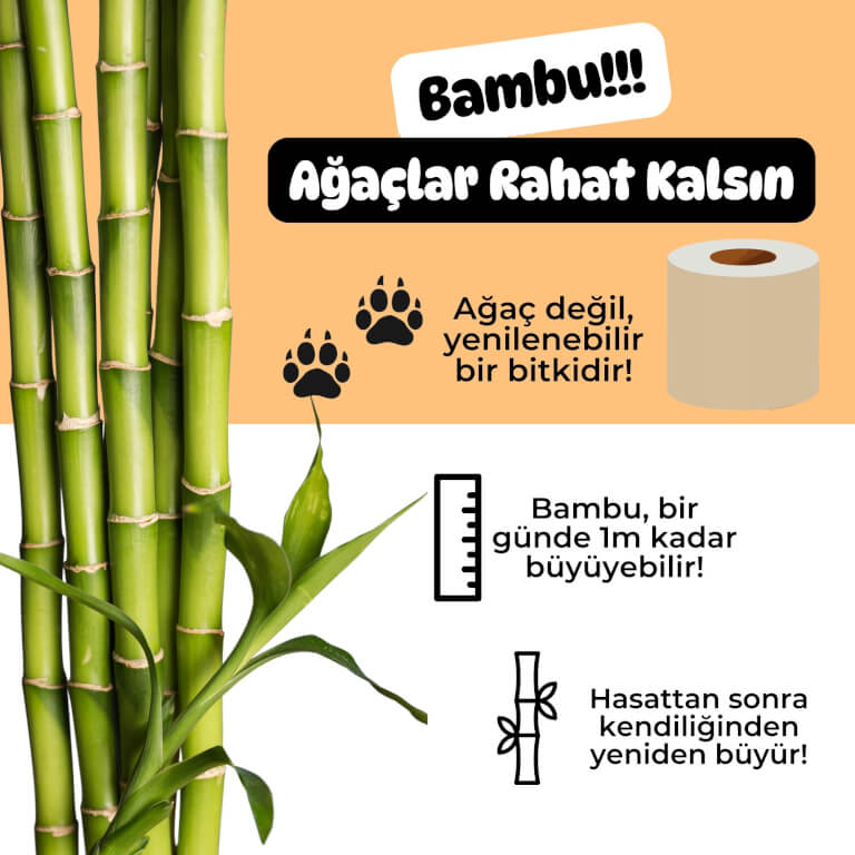 %100 Bambu Tuvalet Kağıdı | Doğal Bej Renk | Kimyasalsız & Sürdürülebilir