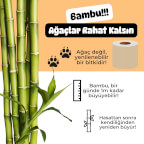 Avantajlı Paket Set | %100 Bambu Tuvalet Kağıdı & Kağıt Havlu | Doğal Bej
