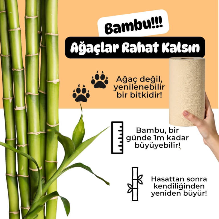 %100 Bambu Doğal bej Kağıt Havlu | Süper Emici & Güçlü – Poop.i