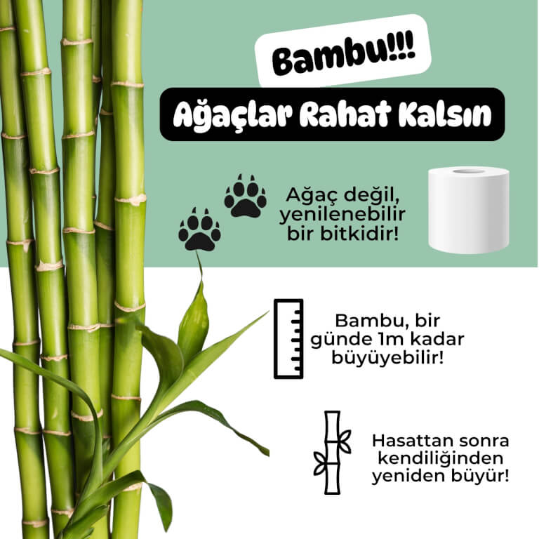%100 Bambu Tuvalet Kağıdı | XL Rulo – 2,5× Daha Uzun | Naked Beyaz
